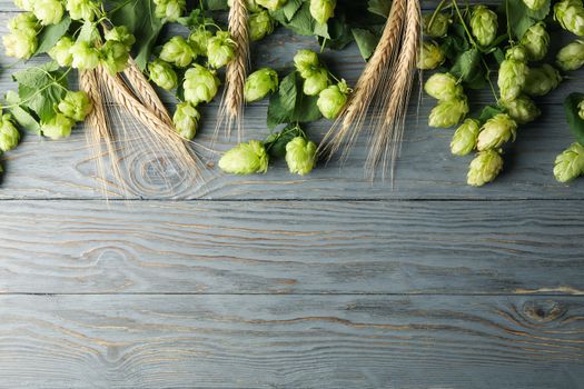 Hop and wheat on wooden background, space for text