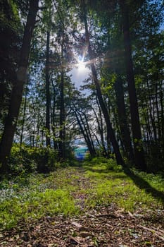 Wonderful, sunny autumn hike in Upper Swabia near Wilhelmsdorf near Lake Constance in Germany