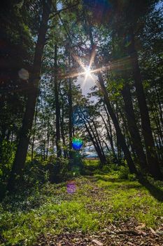 Wonderful, sunny autumn hike in Upper Swabia near Wilhelmsdorf near Lake Constance in Germany