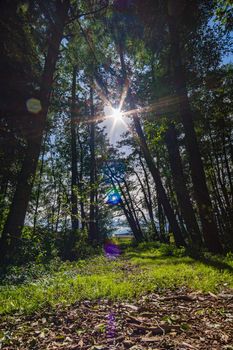 Wonderful, sunny autumn hike in Upper Swabia near Wilhelmsdorf near Lake Constance in Germany