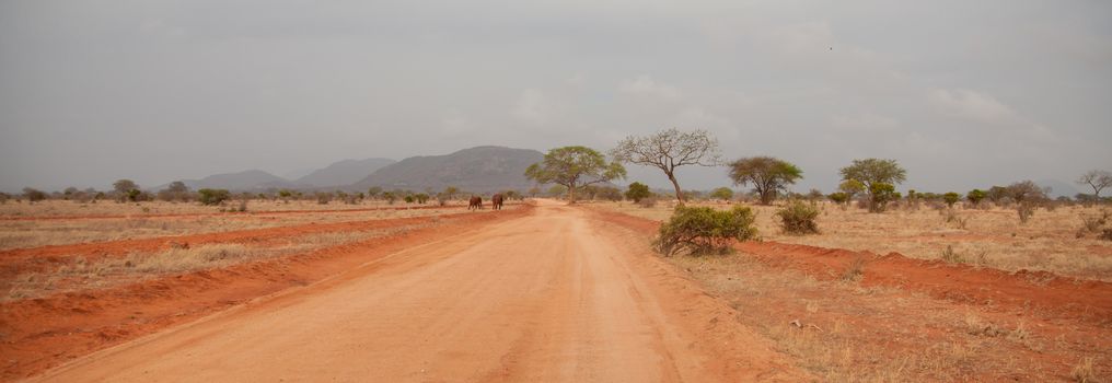 Landscape in Kenya, trees and hills, on safari in Kenya