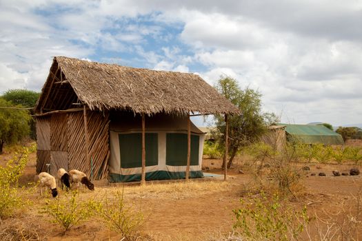 Buildings in the savannah of Kenya
