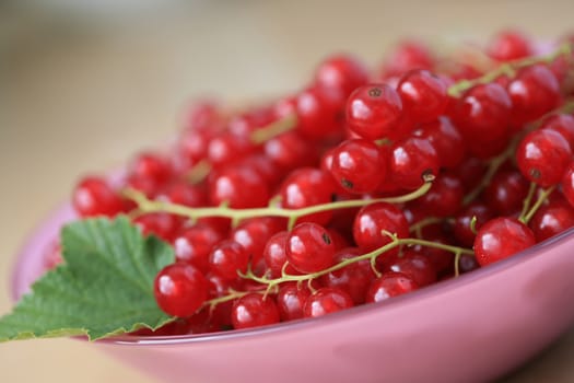 Red currant berries in a pink glass bowl