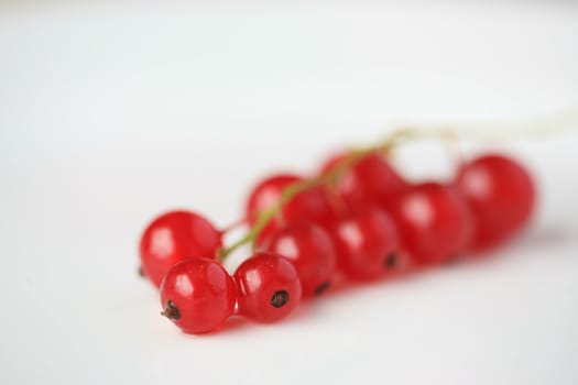 Red currant berries on white background