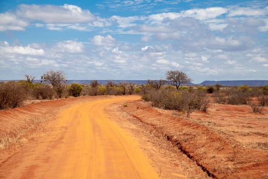 Road in Kenya, savannah with mountains and blue sky and trees