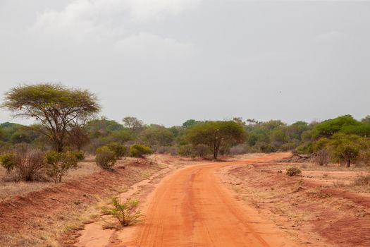 Landscape with red soil, on safari in Kenya