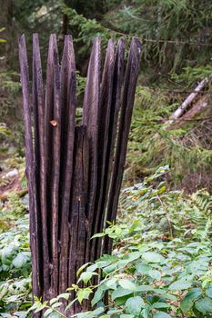 Finkenwiese wooden figures in the Pfrungen Wilhelmsdorfer Ried in Upper Swabia Germany