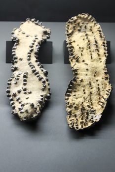 Alicante, Spain- October 8, 2020: Pair of Roman sandal soles of the 4th century found at the Albir necropolis and exhibited at the Archaeological Museum of Alicante