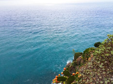 Cinque Terre, Italy - 09/02/2020: Beautiful landscape of a coastal fishing village, amazing view on many little colorful houses, traditional architecture of the little Italian town called Cinque Terre