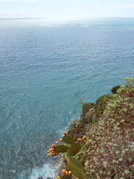 Cinque Terre, Italy - 09/02/2020: Beautiful landscape of a coastal fishing village, amazing view on many little colorful houses, traditional architecture of the little Italian town called Cinque Terre