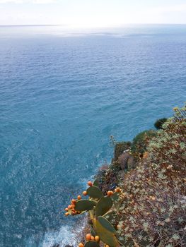 Cinque Terre, Italy - 09/02/2020: Beautiful landscape of a coastal fishing village, amazing view on many little colorful houses, traditional architecture of the little Italian town called Cinque Terre