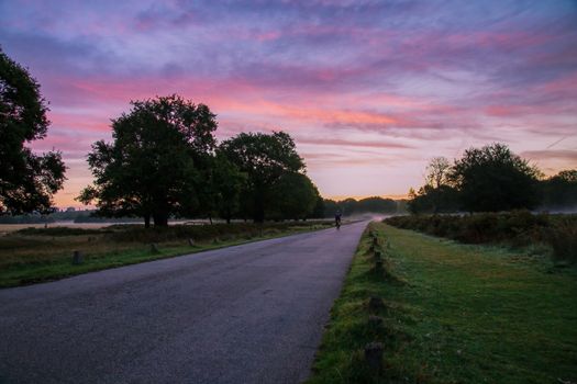 Cyclists riding at sunrise on a foggy morning, through Richmond Park, Surrey, England