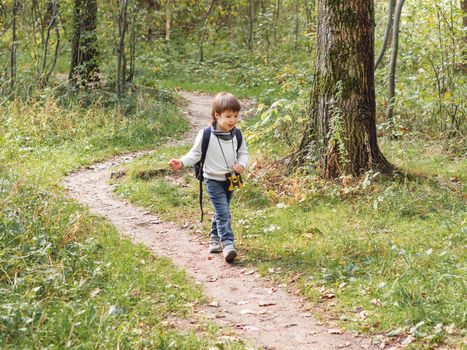 Curious boy is hiking in forest lit by sunlight. Outdoor leisure activity for kids. Child with binoculars and backpack.