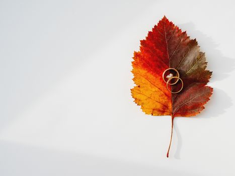 Golden wedding rings on bright and colorful autumn leaf. Top view on monochrome geometry with light and shadow. Minimalism. Fall season.