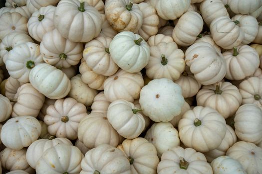 A Pile of Small White Pumpkins in a Wooden Box in a Farmer's Market Filling the Frame