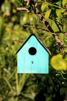 Aqua blue metal birdhouse hangs from a lemon tree in Naples, Florida.