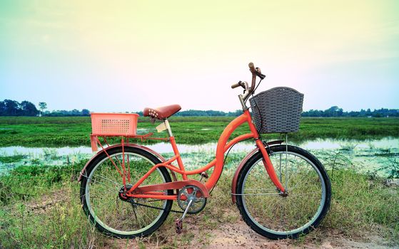 An orange retro-style bicycle with a basket for luggage, parked by the river as the sun shines through the concept of exercise and leisure with leisure activities on the weekend.