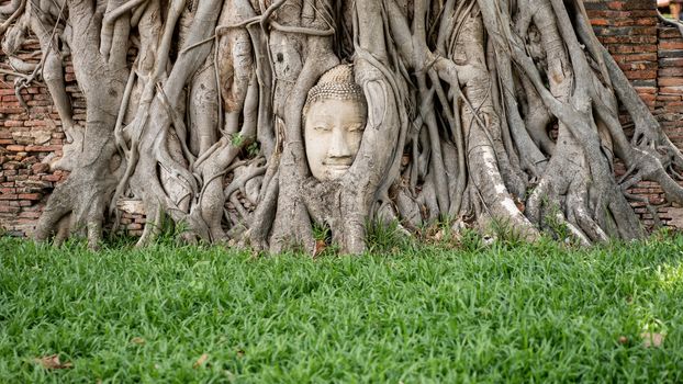 Ancient Buddha head with the roots tree at Mahathat temple, Ayutthaya, Thailand.