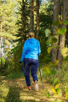 young women in blue jacket hiking in autumn park with scandinavian sticks. woman with sticks in autumn forest making nordic walking.