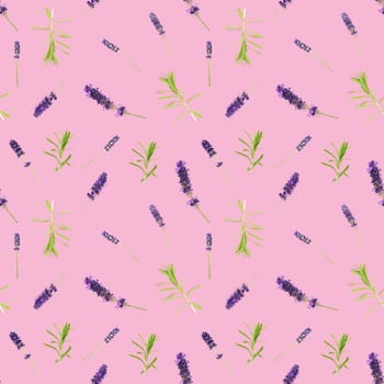 seamless pattern made from lavender flowers isolated on pink. fresh lavendel blossoms background. floral pattern.