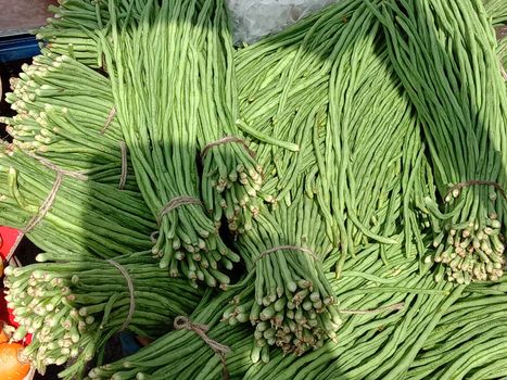 raw fresh and healthy Asparagus Bean stock on shop