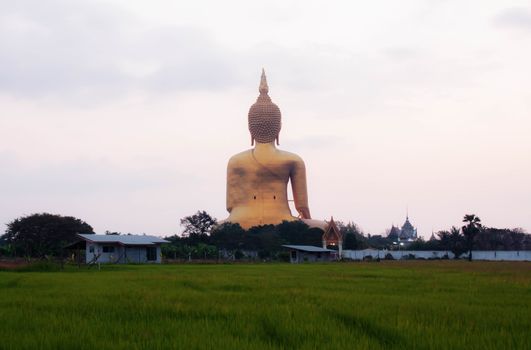 Buddha on field with the sky.