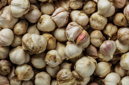 Dried garlic with a detailed surface of background.