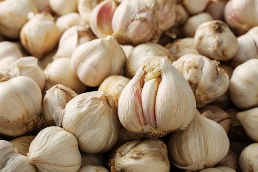 Dried garlic with surface of background.