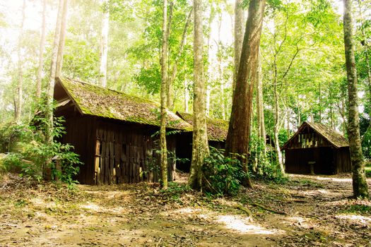 Military politics school in the forest of thailand.