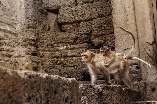 Mother gave baby a ride on the old building.