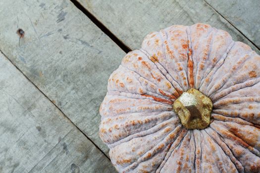 Old pumpkin on the old wooden floor.