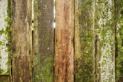 Old wooden board of surface and moss with background.