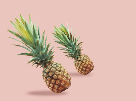 Pineapple with the colors of background.