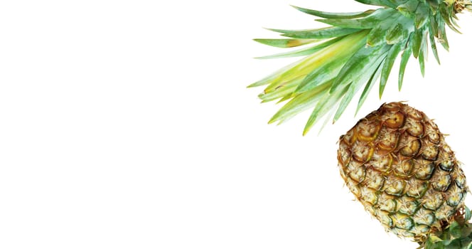 Yellow of pineapple and leaves with a white background.