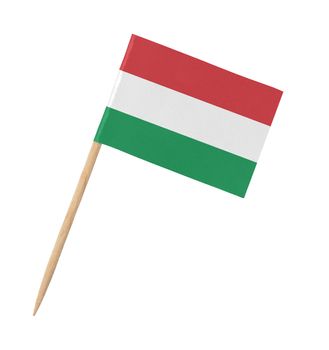 Small paper flag of Hungary on wooden stick, isolated on white