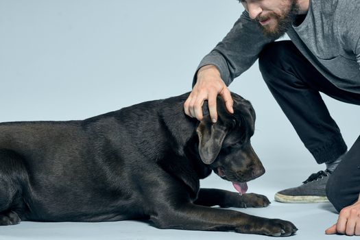 The man trains the dog indoors and gestures with his hands to execute the model's commands. High quality photo