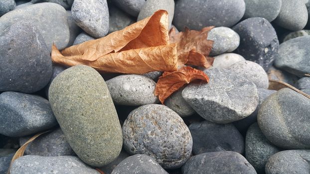 Rock Pebbles, small, rounded, smooth rocks. Texture background for text.