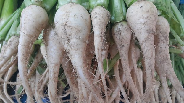 White radish roots with green leaves placed in market for sale