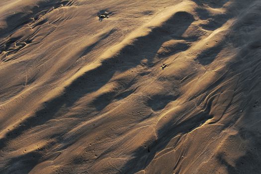 Sand racked texture on the beach in the morning