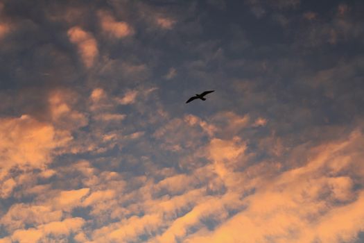 Sunset in Santa Pola, a small fishing village in southern Spain 