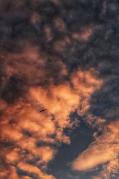 Sunset in Santa Pola, a small fishing village in southern Spain 