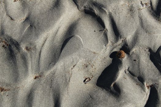 Textures on the beach sand in a sunny day