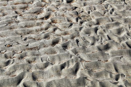 Textures on the beach sand in a sunny day