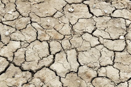 Texture of brown arid and desert land