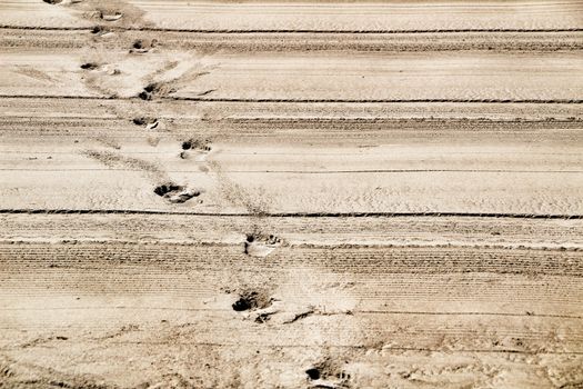 Sand racked texture with footprints on the beach in the morning