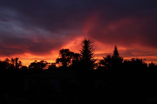 Spectacular sunset with fire color in the forest