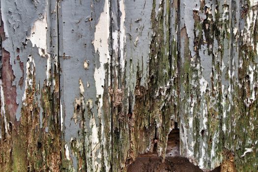 Old damaged wooden board painted gray texture