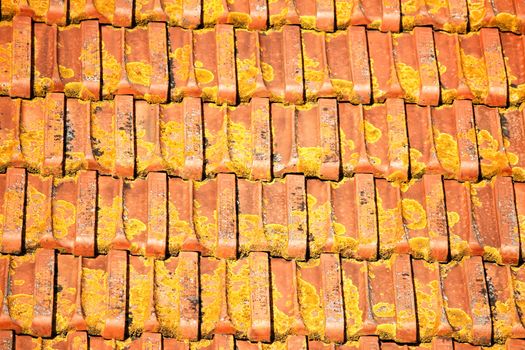 Red tiled Roof in Lisbon house with dry moss