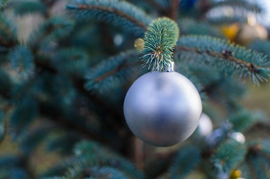 Christmas silver ball decoration. Silver holiday ball hanging from a green christmas tree twig.New year greeting card with copy space