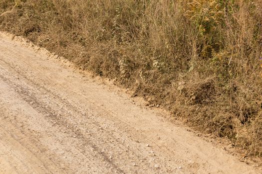 dusty dry dirt road with wild grass thickets on its side - diagonal line composition